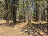  Whitetail Ln - Photo 12