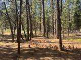  Whitetail Ln - Photo 13
