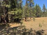  Whitetail Ln - Photo 14