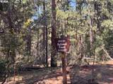  Whitetail Ln - Photo 15