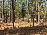  Whitetail Ln - Photo 17