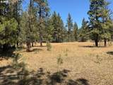  Whitetail Ln - Photo 18