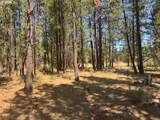  Whitetail Ln - Photo 2