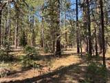 Whitetail Ln - Photo 20