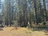  Whitetail Ln - Photo 21