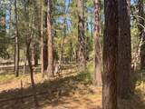  Whitetail Ln - Photo 22