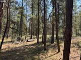 Whitetail Ln - Photo 23