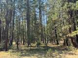  Whitetail Ln - Photo 24