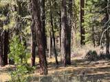  Whitetail Ln - Photo 25