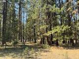  Whitetail Ln - Photo 27