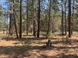  Whitetail Ln - Photo 28
