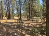  Whitetail Ln - Photo 3