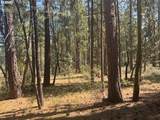 Whitetail Ln - Photo 4