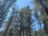  Whitetail Ln - Photo 5