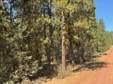  Whitetail Ln - Photo 6
