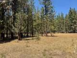  Whitetail Ln - Photo 7