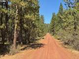  Whitetail Ln - Photo 8