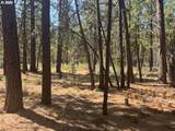  Whitetail Ln - Photo 9