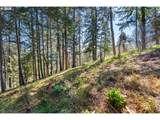 735 Strawberry Mountain Rd - Photo 15
