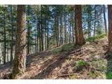 735 Strawberry Mountain Rd - Photo 16