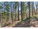 735 Strawberry Mountain Rd - Photo 20
