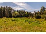 89371 Hemlock Ln - Photo 25