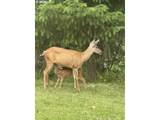 9460 Jeanne Rd - Photo 48
