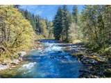 37700 Vernon Rd - Photo 44