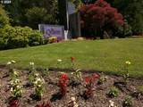 6605 Burnside St - Photo 3