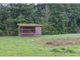 31080 Dhooghe Rd - Photo 46