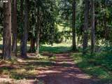 11380 Valley Vista Rd - Photo 38