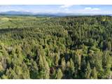 26564 Burns Rd - Photo 48