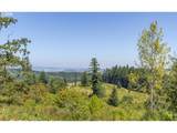 86616 Pine Grove Rd - Photo 34