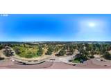 86616 Pine Grove Rd - Photo 42