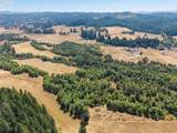 86616 Pine Grove Rd - Photo 43