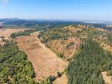 86616 Pine Grove Rd - Photo 44