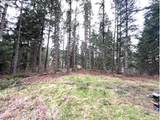  Highway 47 - Photo 1