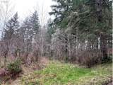  Highway 47 - Photo 11