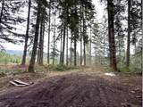  Highway 47 - Photo 14