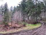  Highway 47 - Photo 23