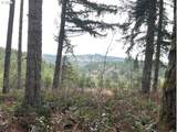  Highway 47 - Photo 5