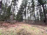  Highway 47 - Photo 6