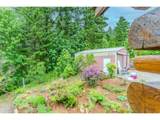 43144 Deverell Rd - Photo 31