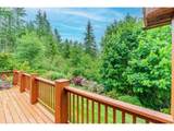 43144 Deverell Rd - Photo 34