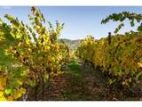 8690 Lookingglass Rd - Photo 36