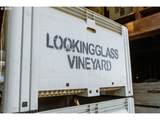 8690 Lookingglass Rd - Photo 40