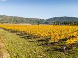 8690 Lookingglass Rd - Photo 42