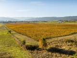 8690 Lookingglass Rd - Photo 45