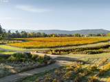 8690 Lookingglass Rd - Photo 46
