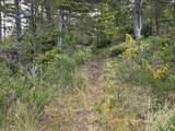  Highway 101 - Photo 2